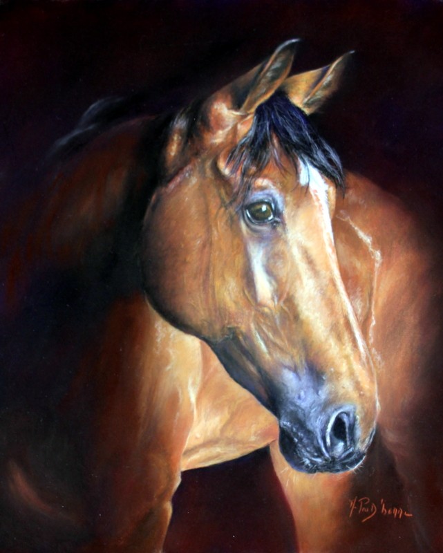 Portrait de cheval bai sur fond sombre — pastel