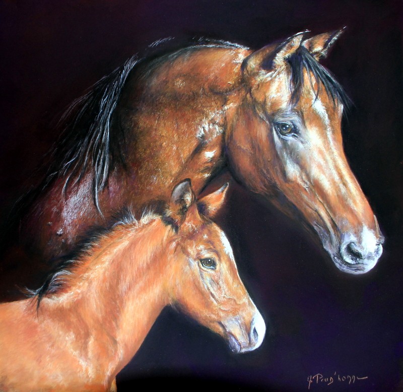Jument et son poulain — pastel
