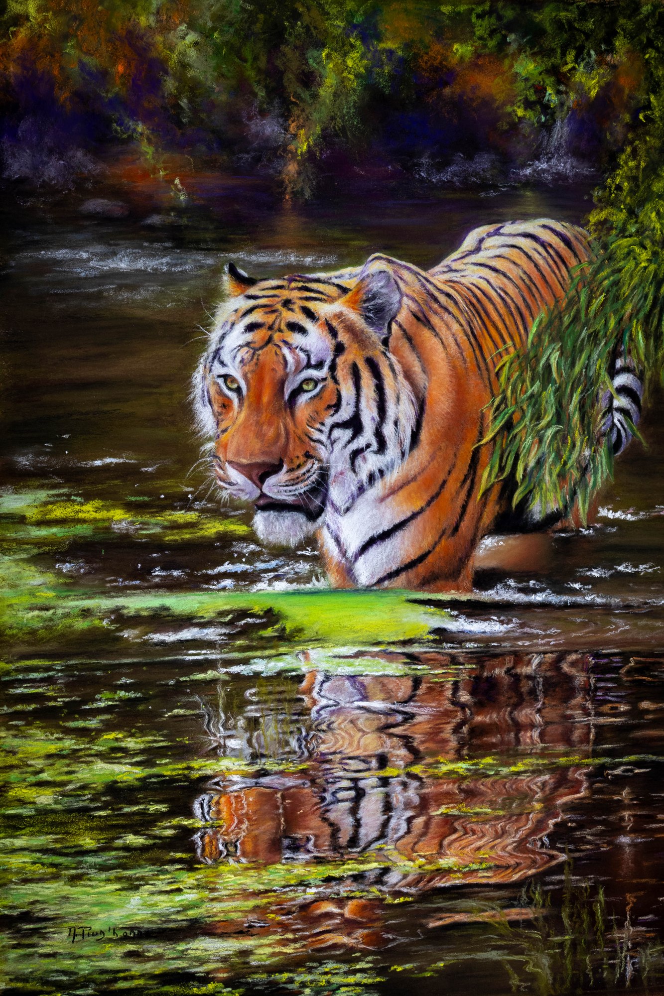 Tigre au bain — pastel