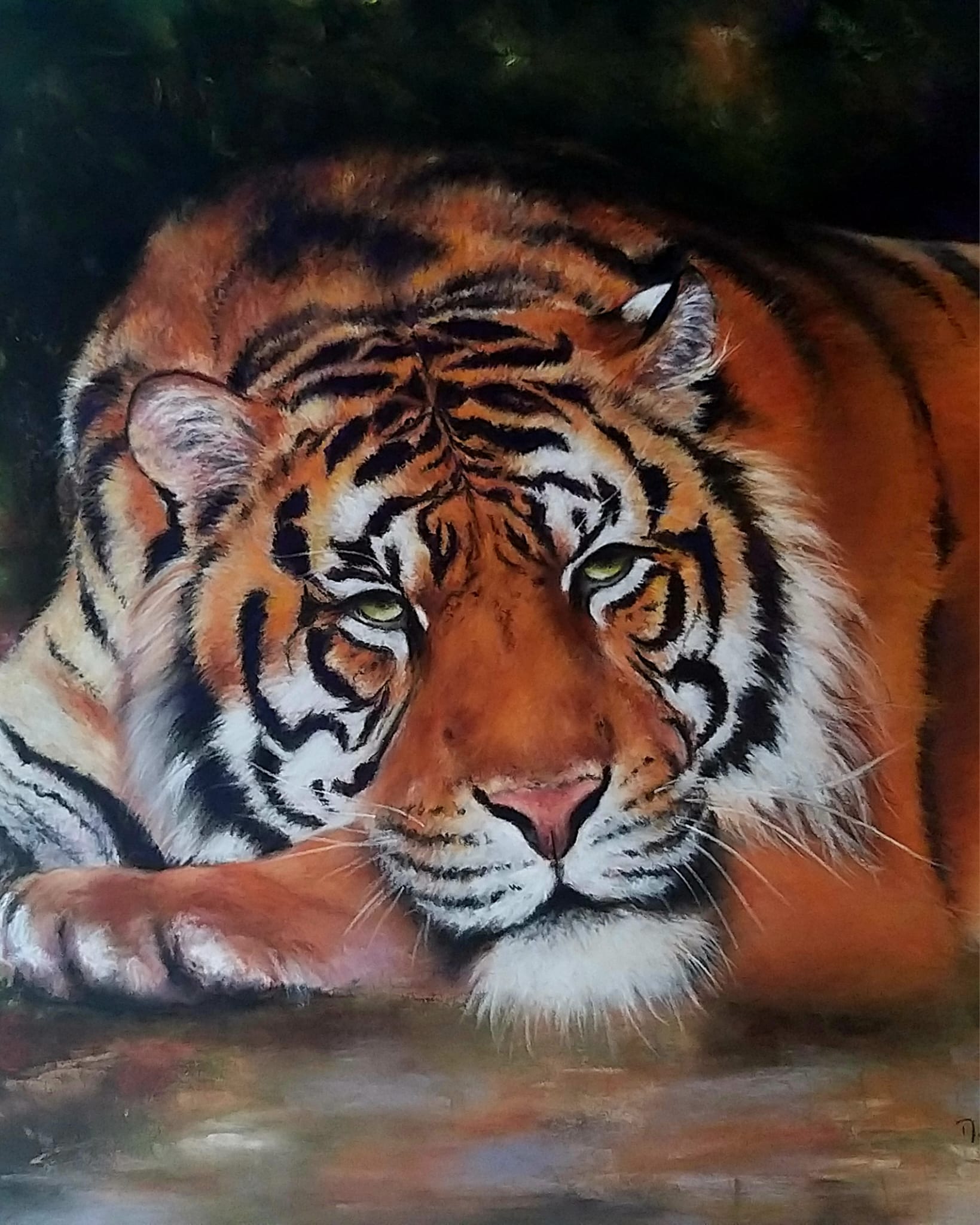Tigre au repos — pastel sec